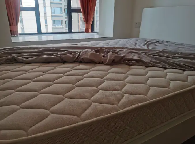 房屋图片 6