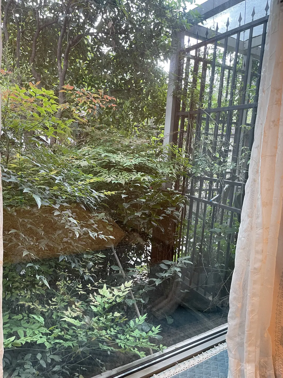 房屋图片 10