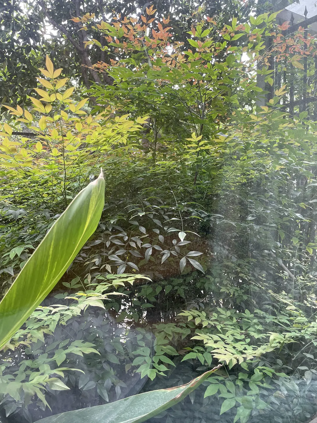 房屋图片 11