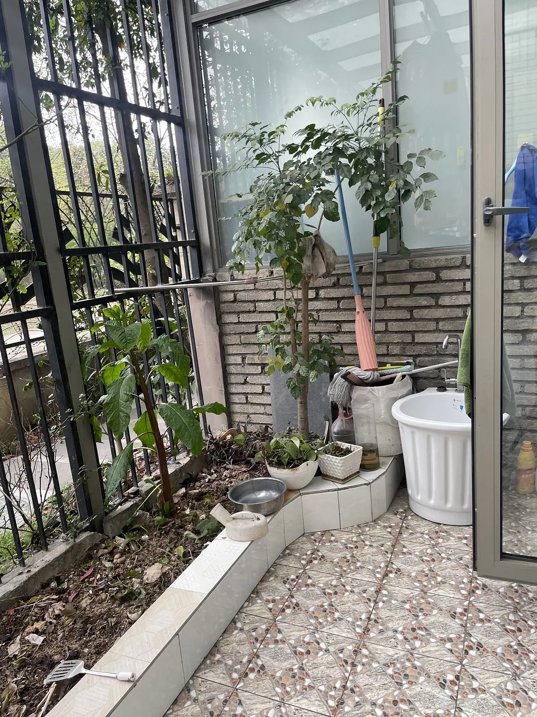 房屋图片 5