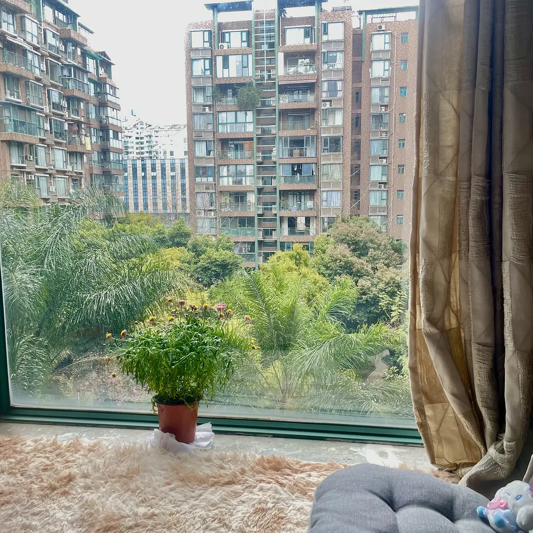 房屋图片 3