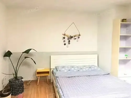 房屋图片 3