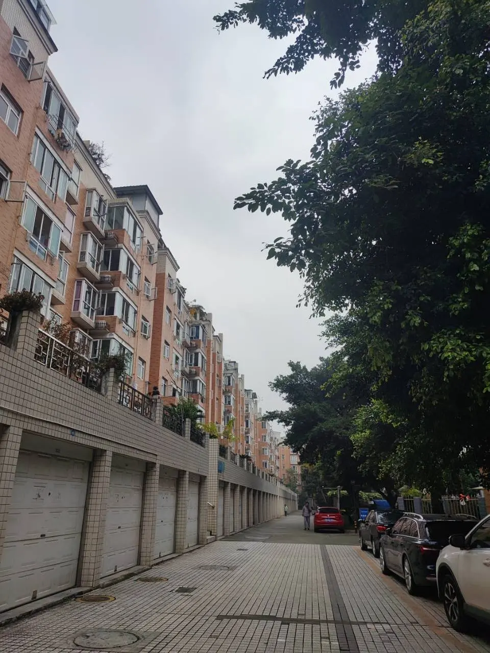 房屋图片 3