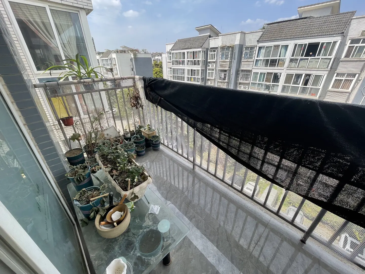 房屋图片 3