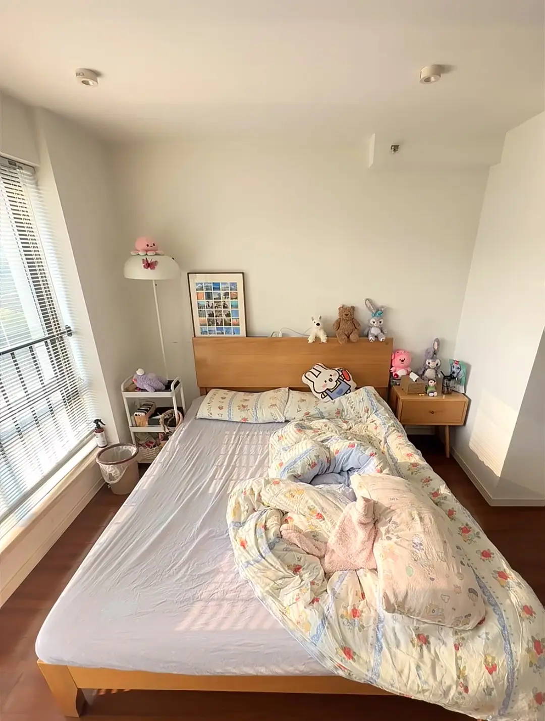 房屋图片 1