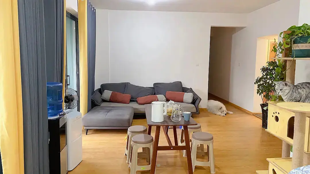 房屋图片 5