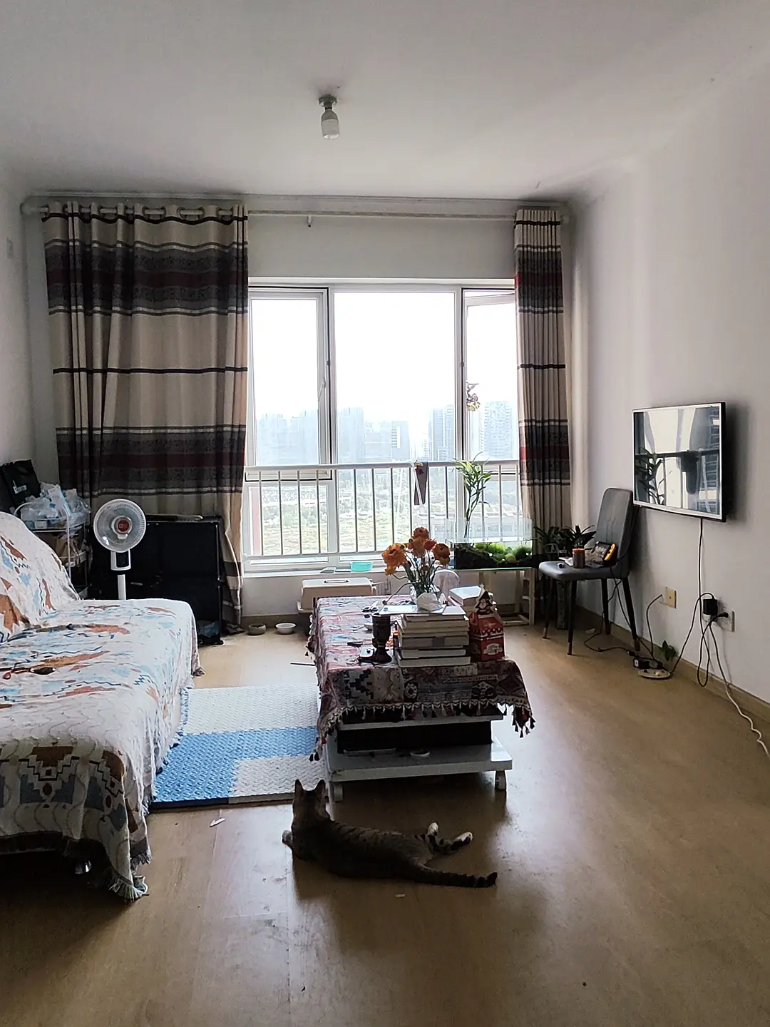 房屋图片 3