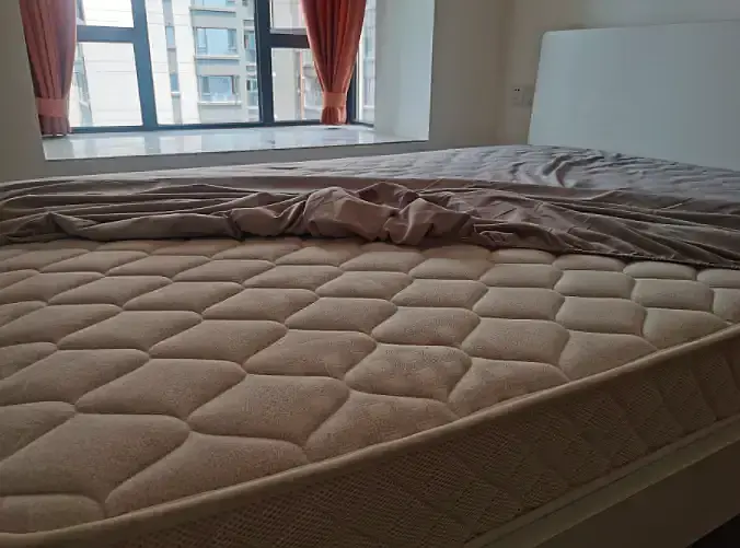 房屋图片 6