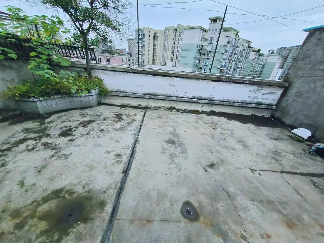 房屋图片 6