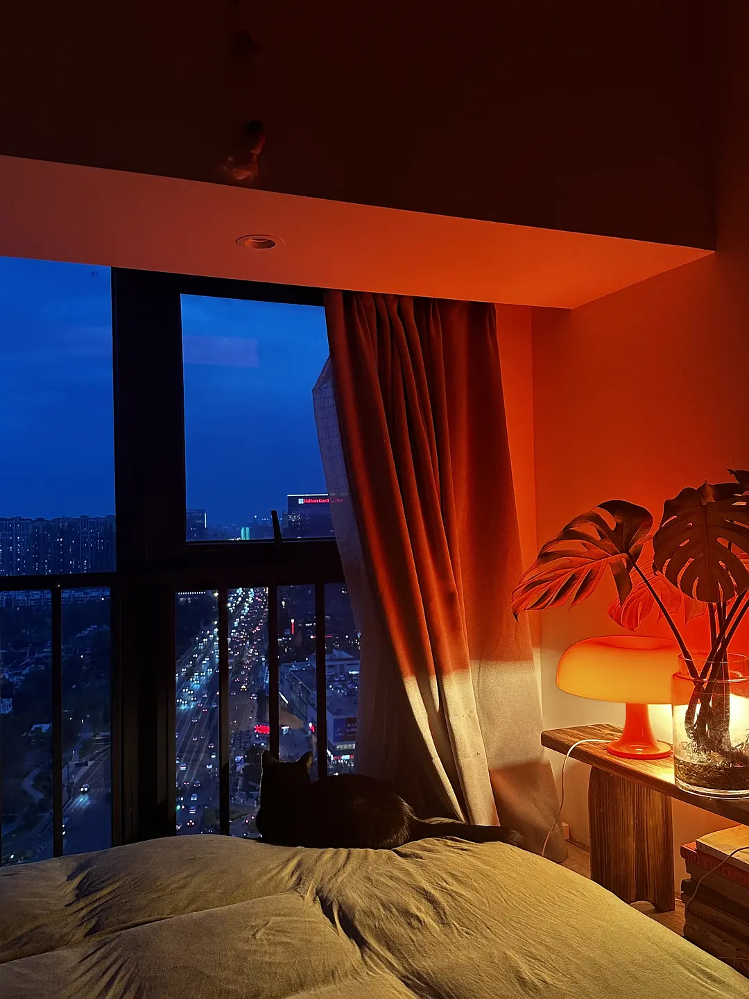 房屋图片 6