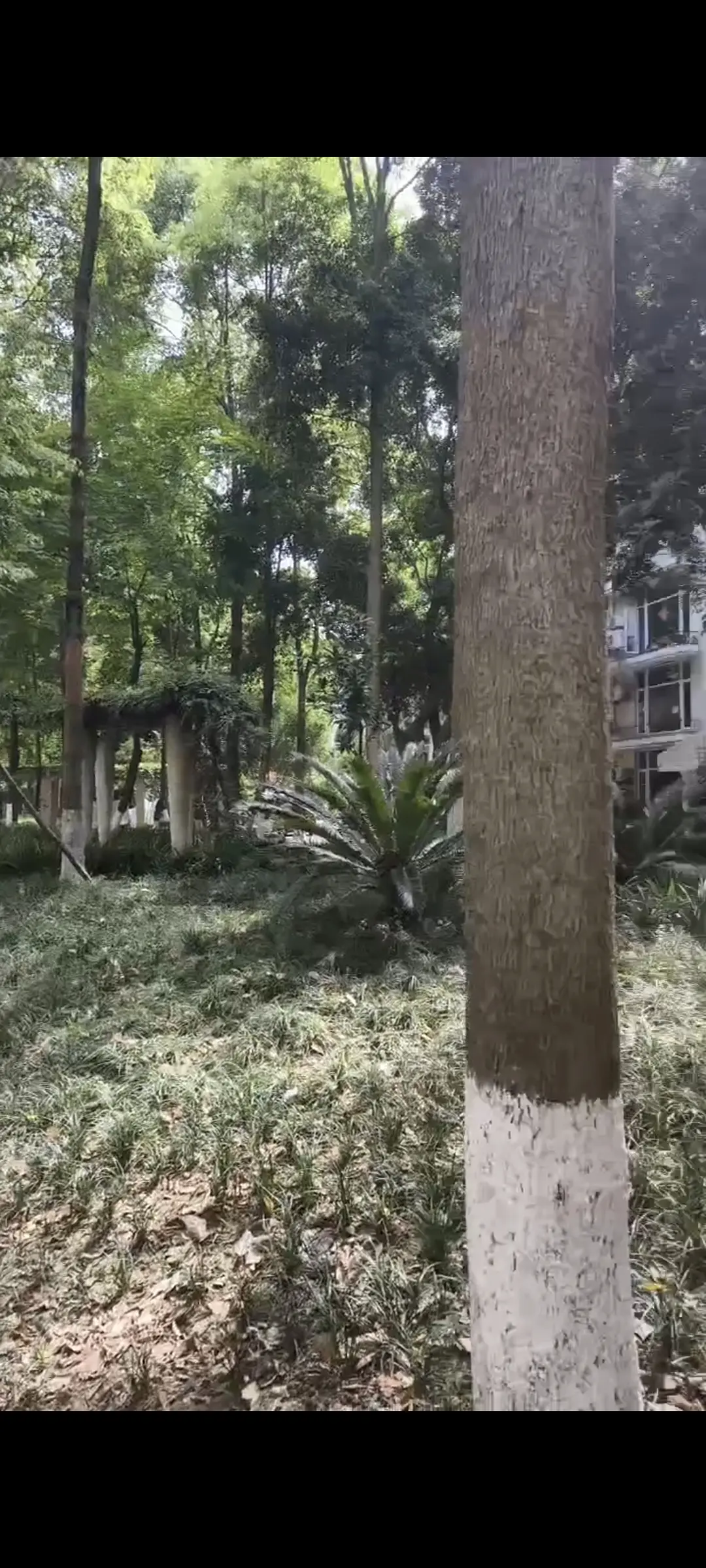 房屋图片 2