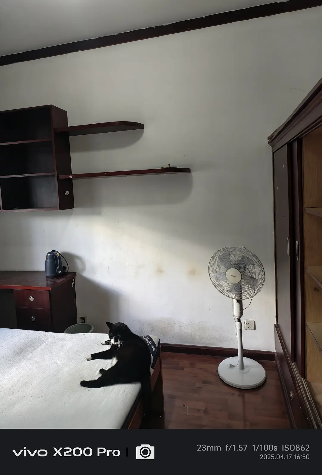 房屋图片 3