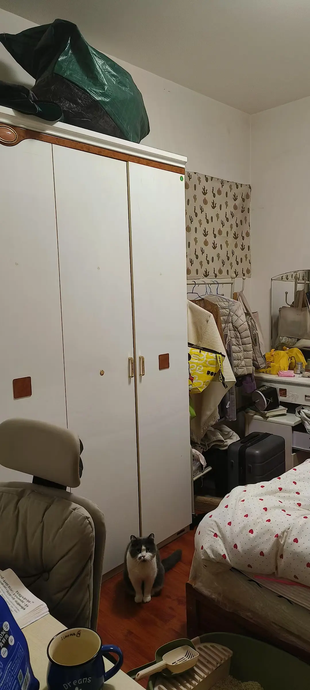 房屋图片 8