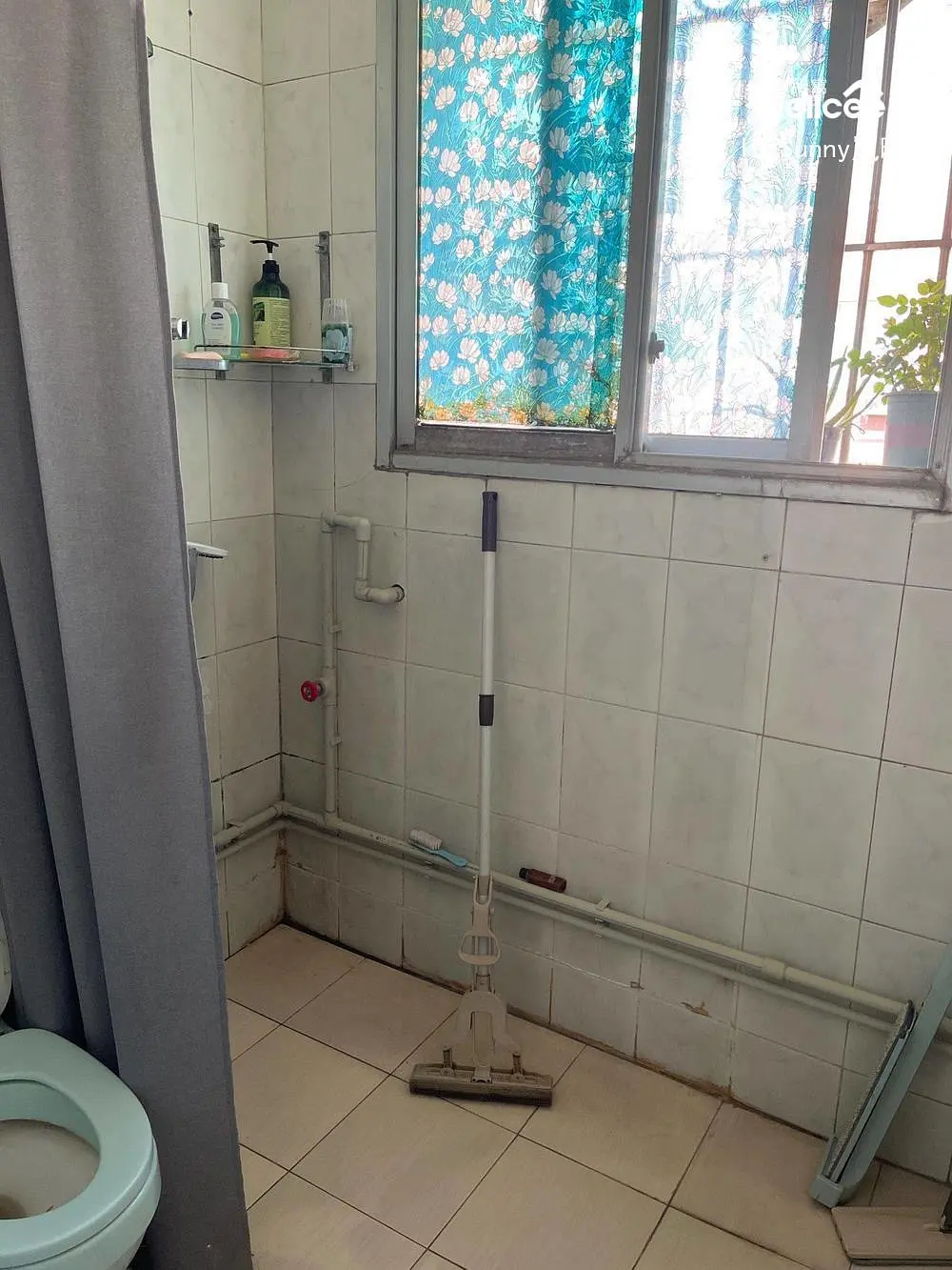 房屋图片 8