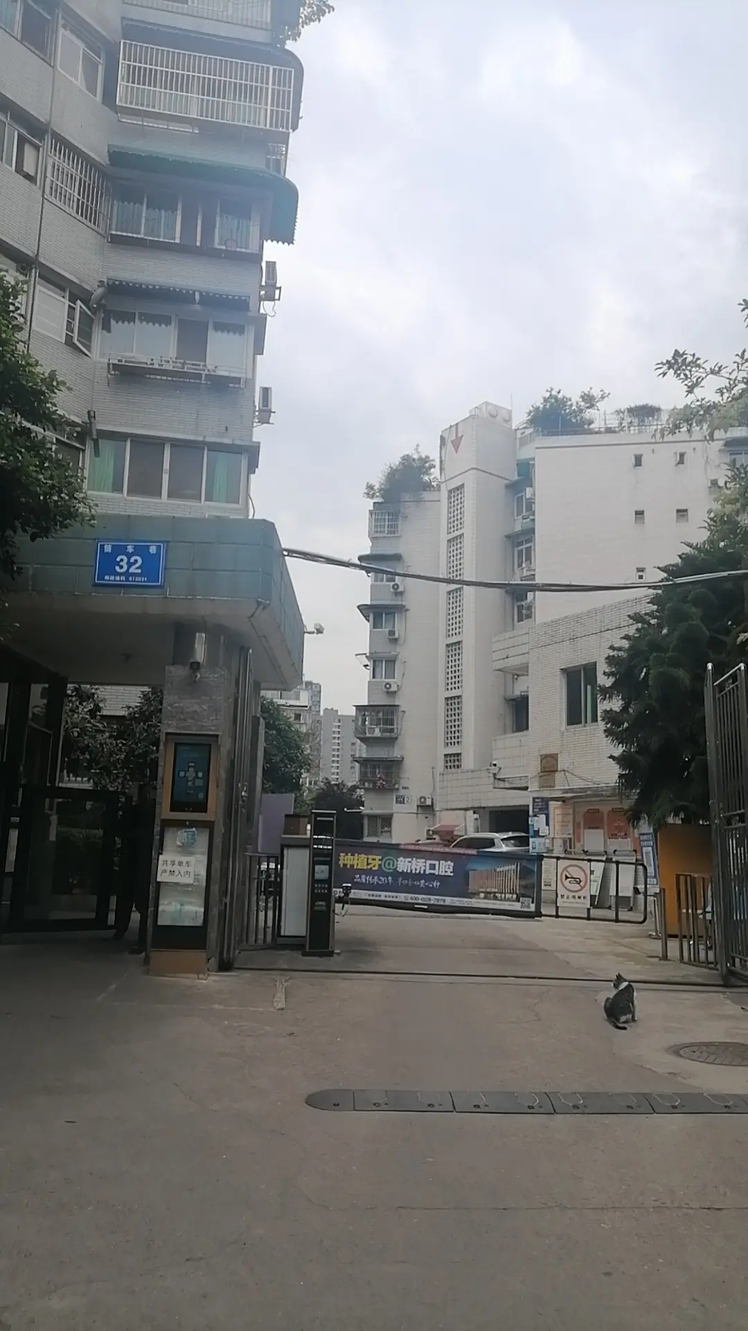 房屋图片 6