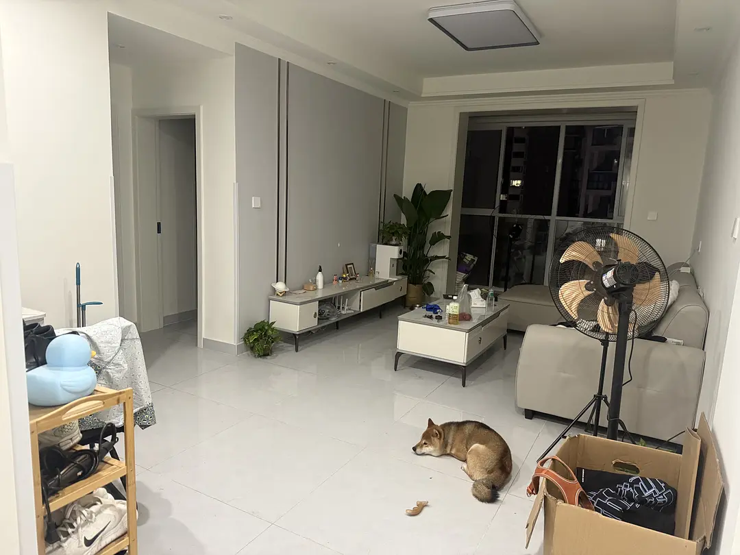 房屋图片 1