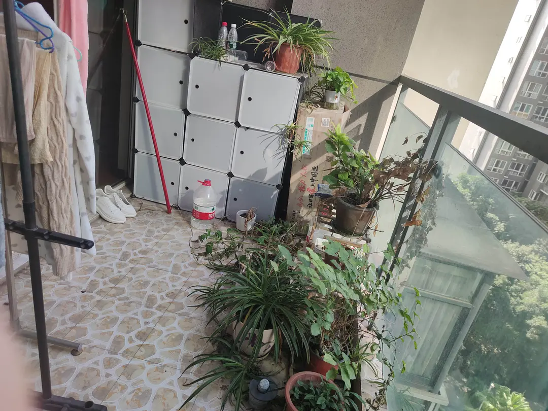房屋图片 5