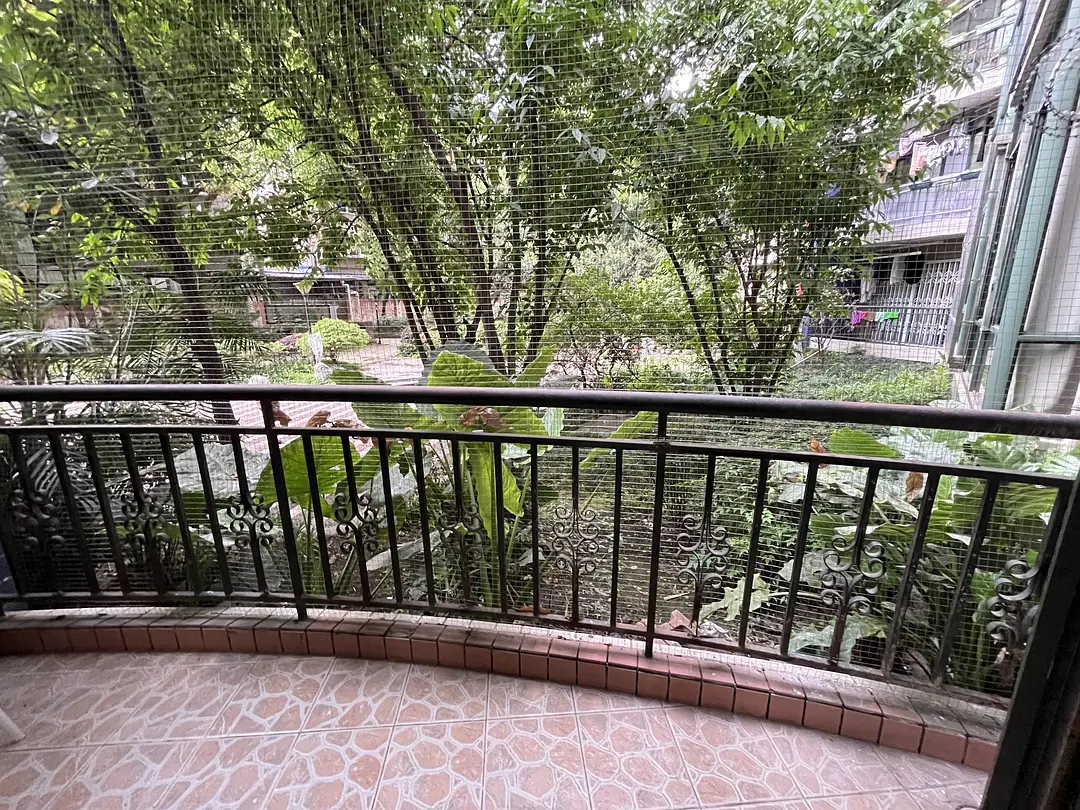房屋图片 5