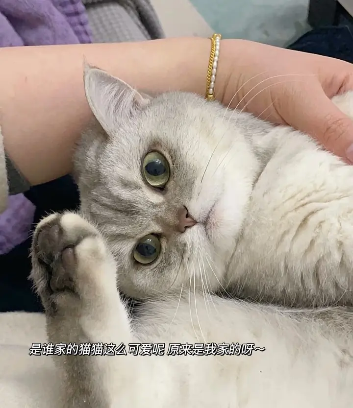 房屋图片 4