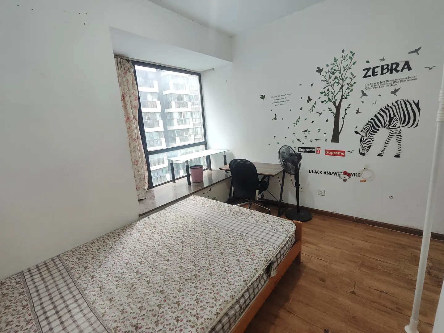 房屋图片 5