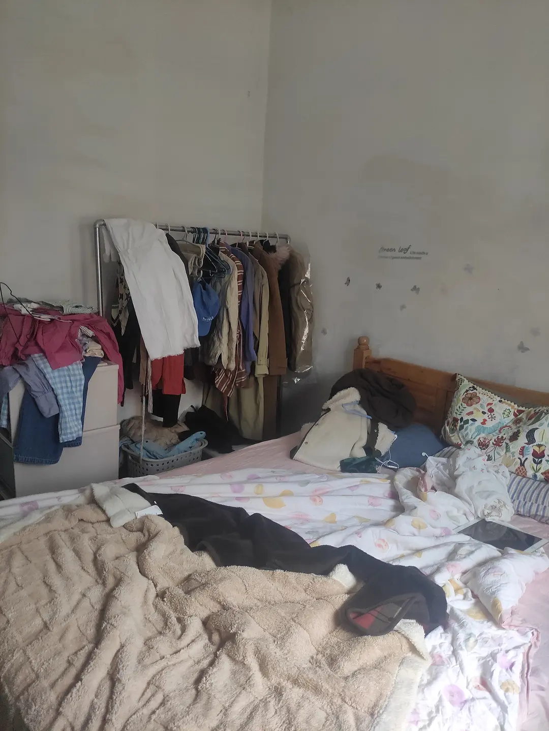 房屋图片 3