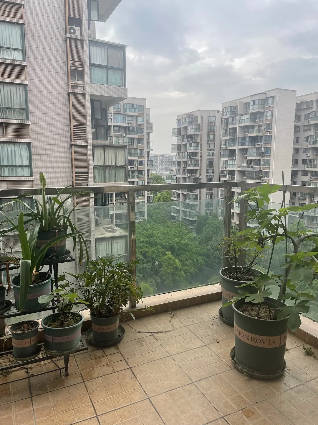 房屋图片 4