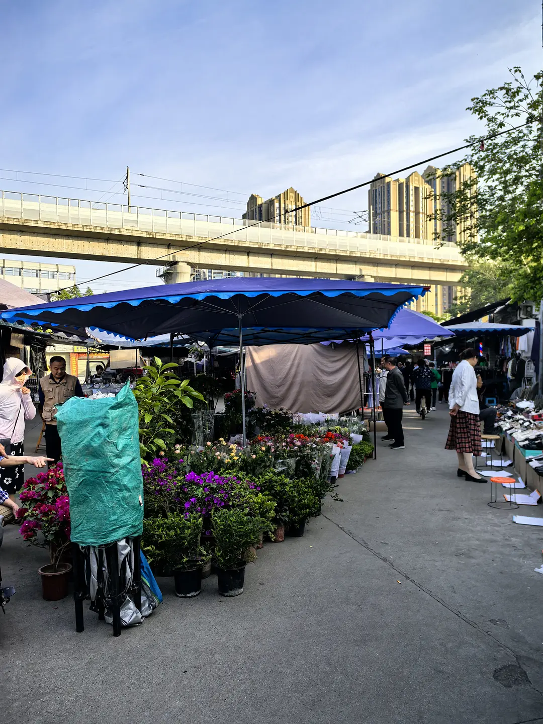 房屋图片 13