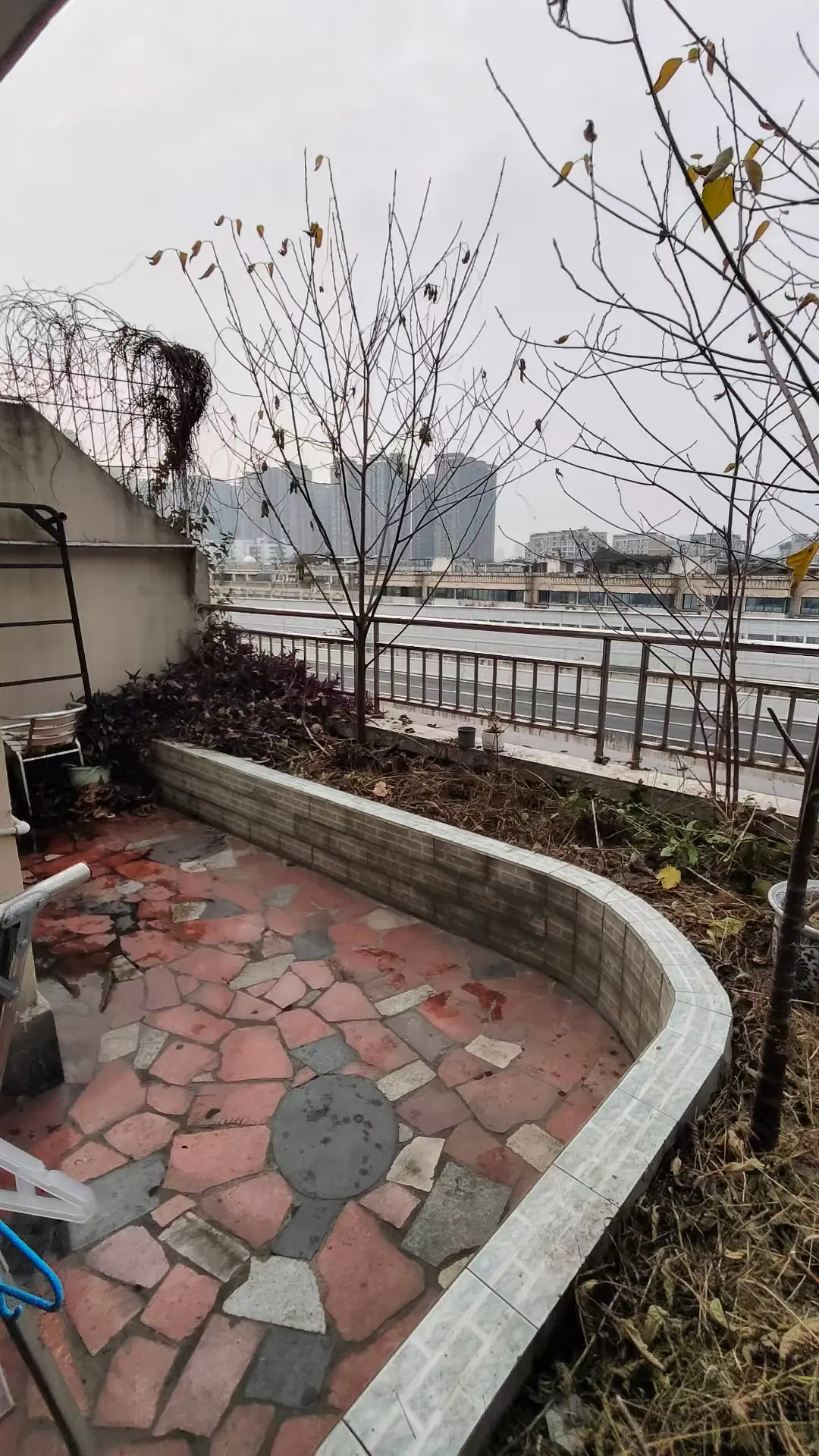 房屋图片 6