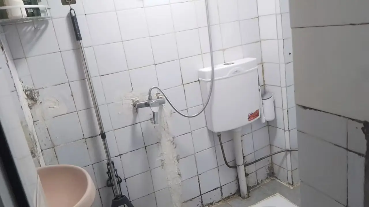房屋图片 3