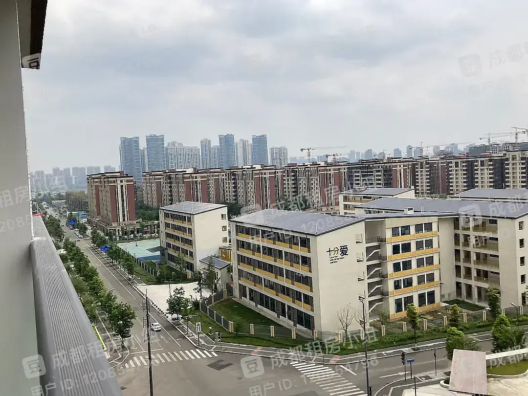 房屋图片 12