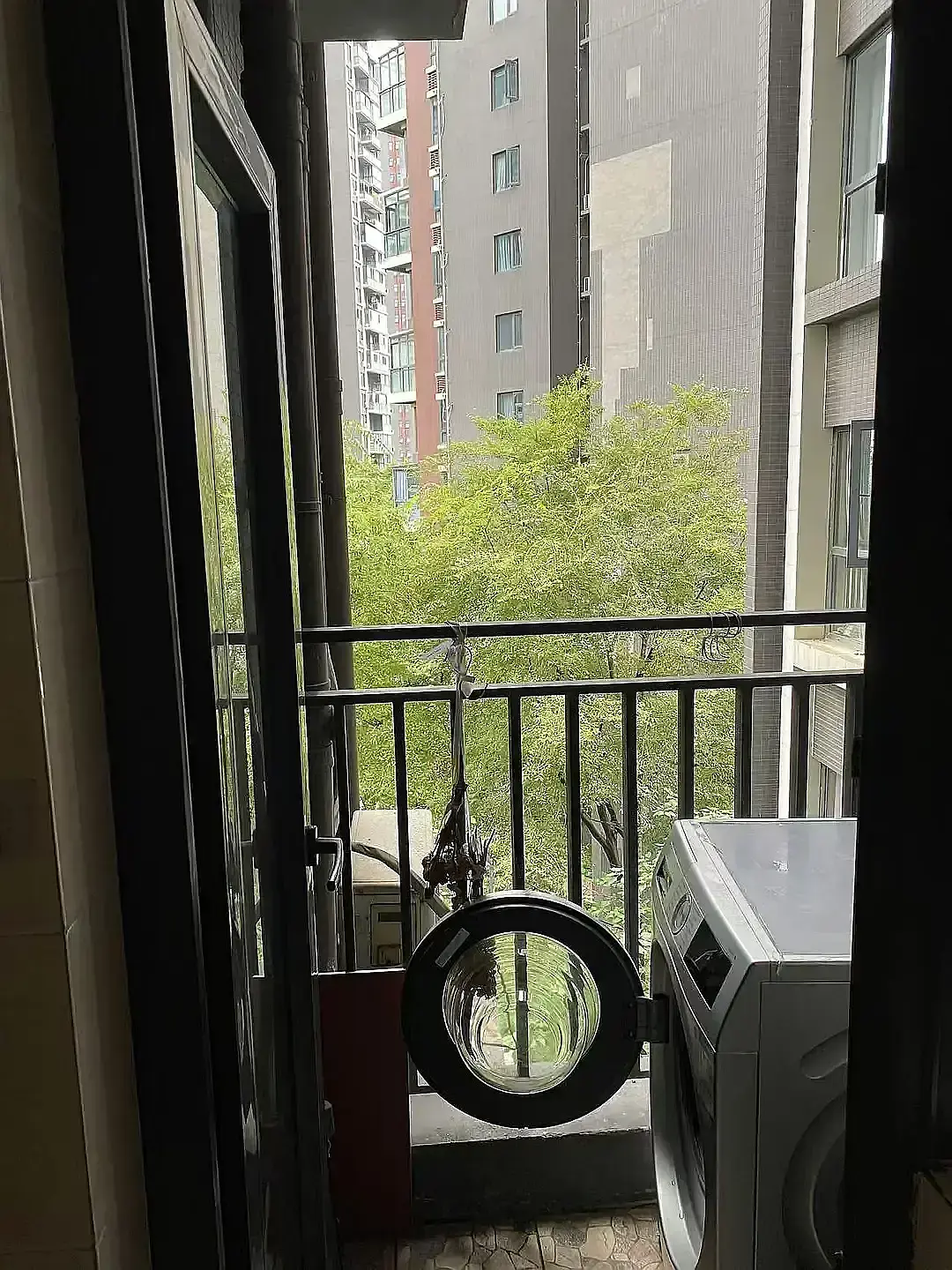 房屋图片 7