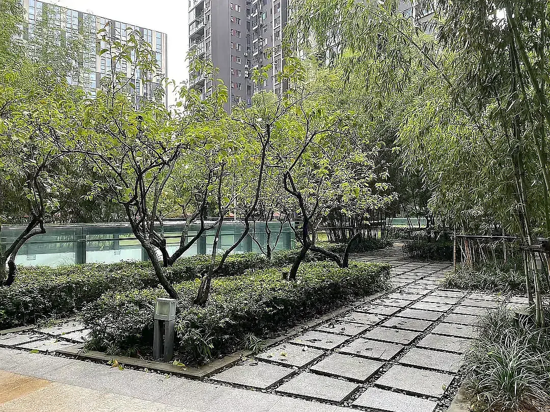 房屋图片 8