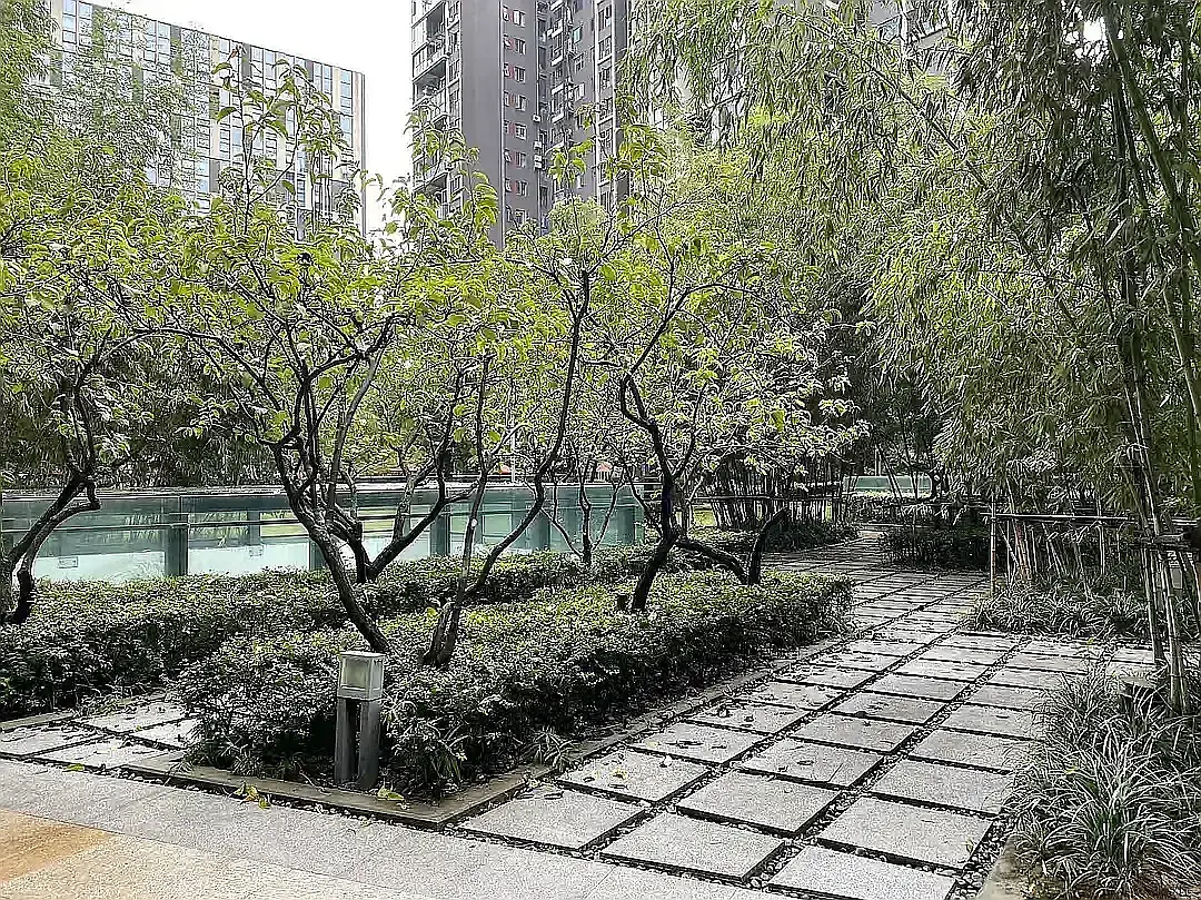 房屋图片 8