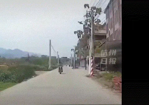 房屋图片 8