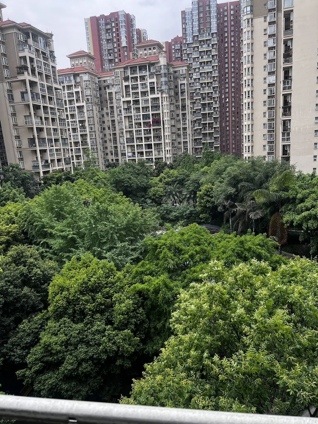 房屋图片 9