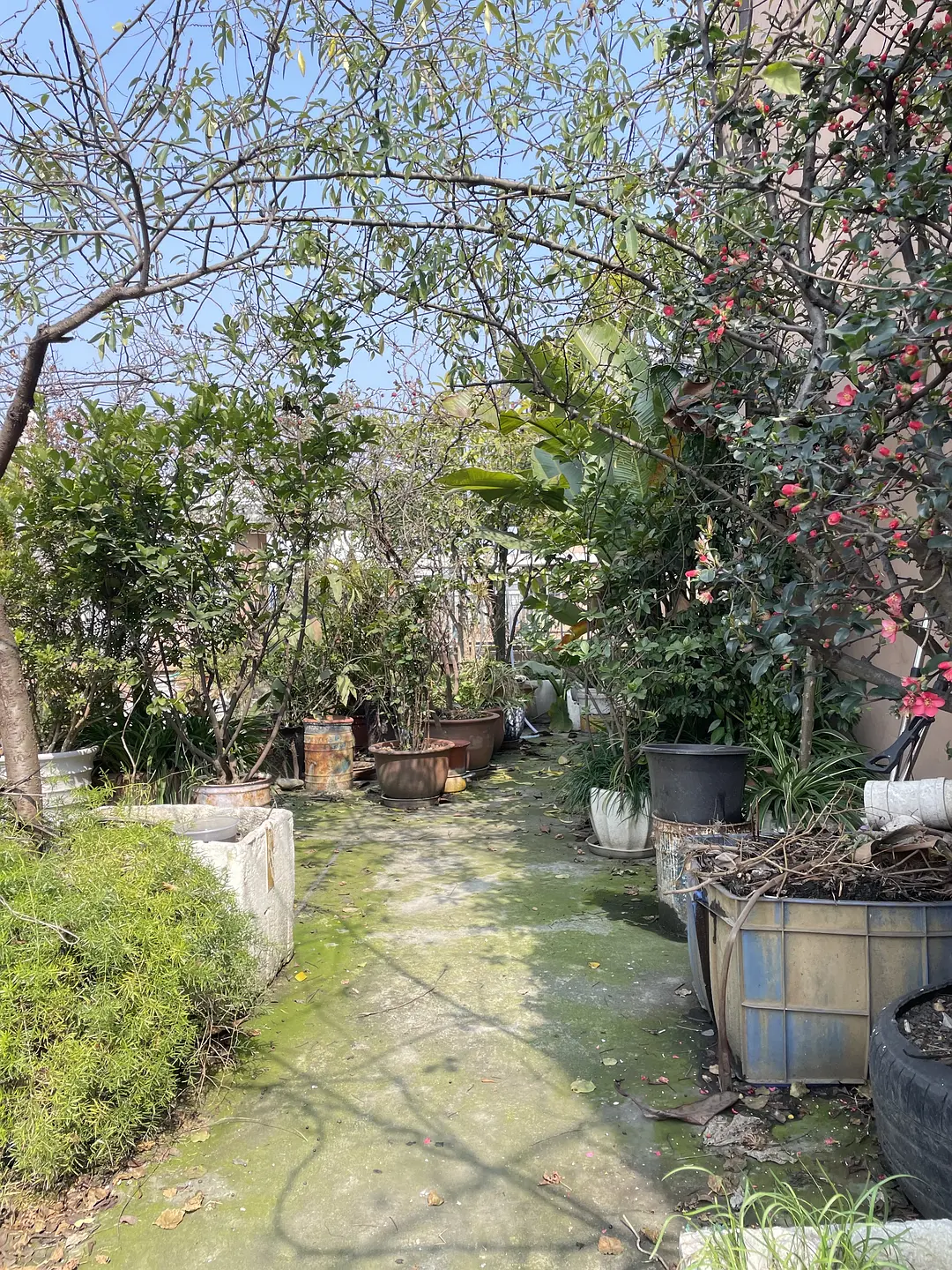 房屋图片 3