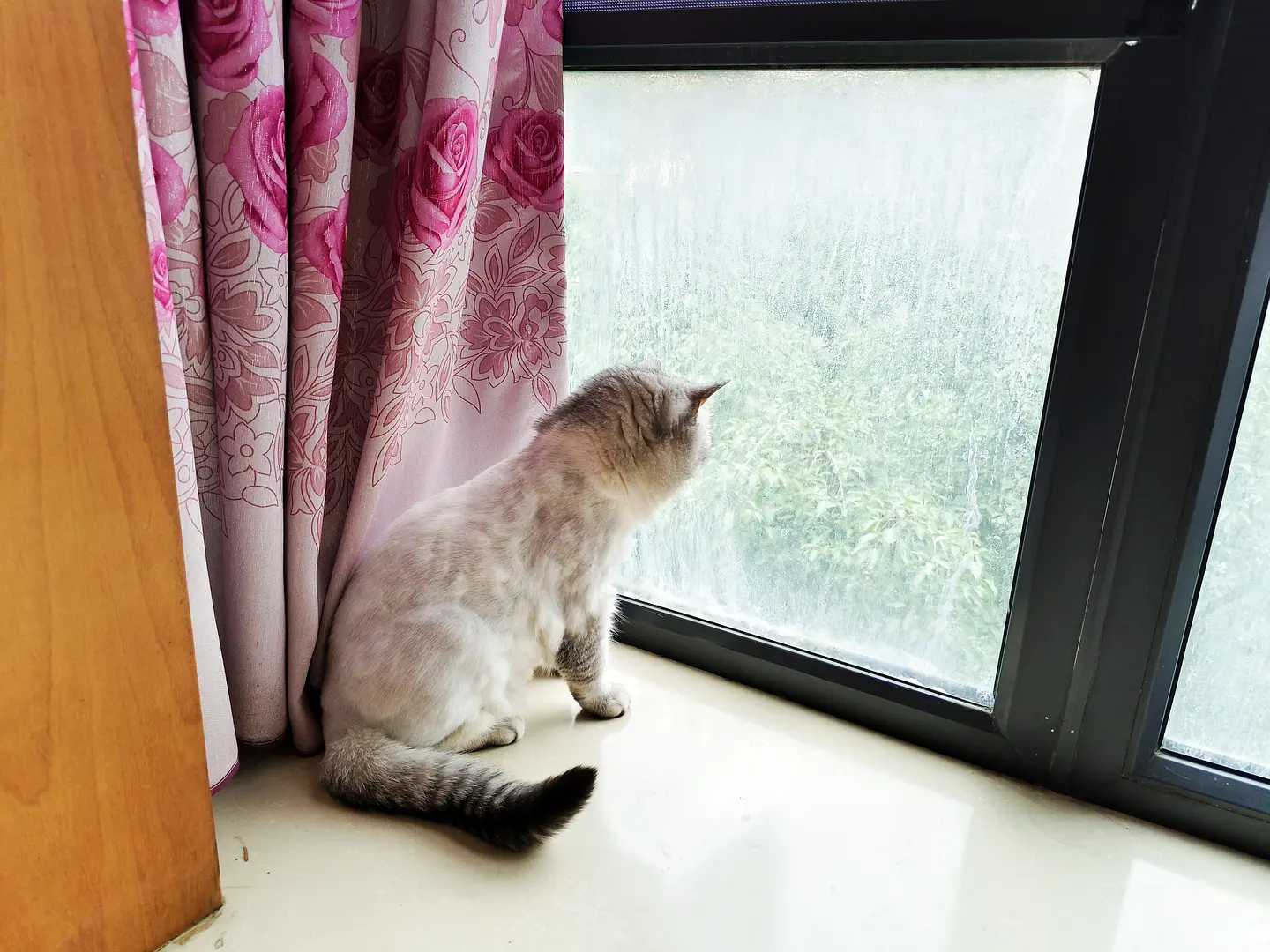 房屋图片 8