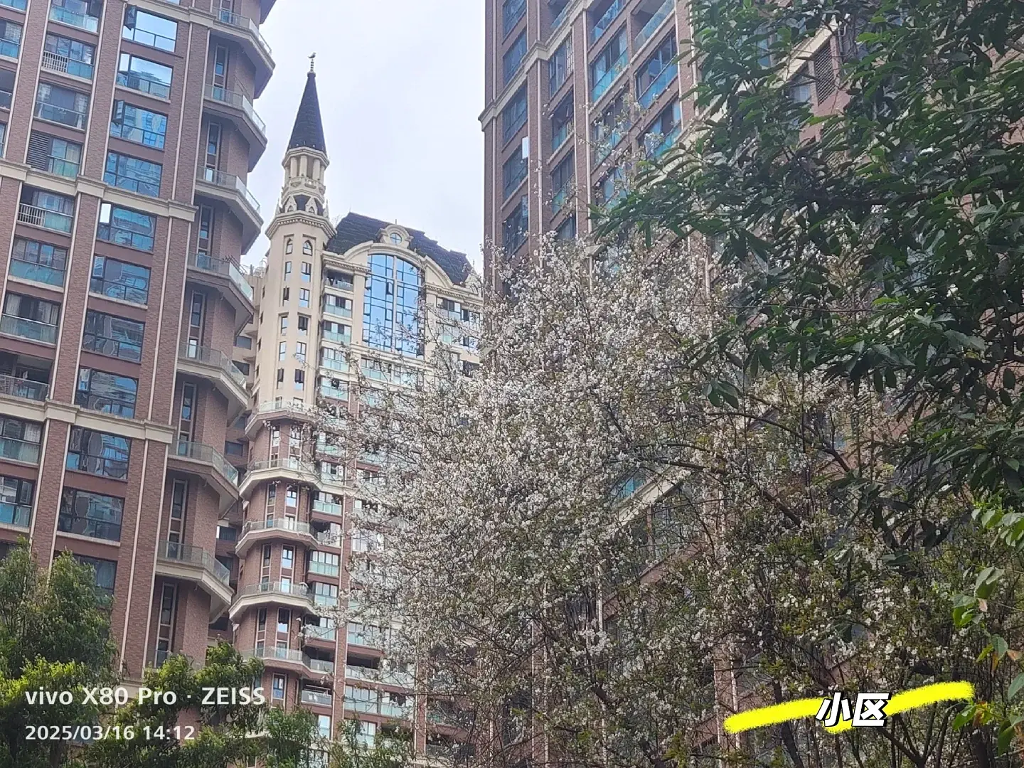 房屋图片 11