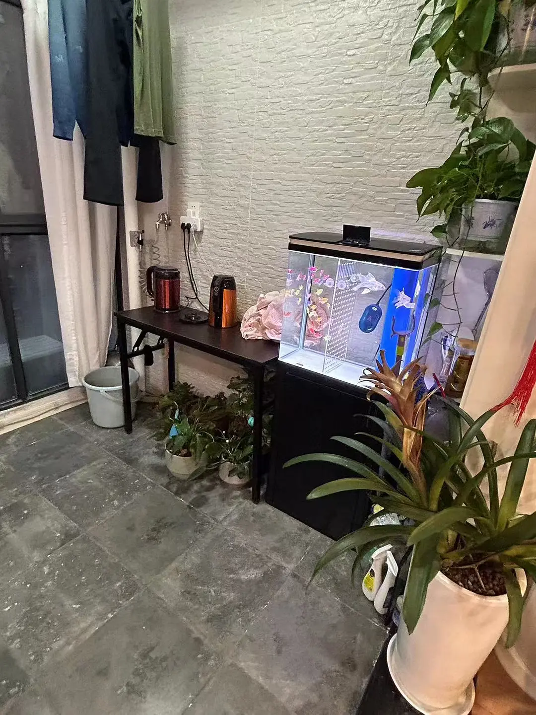 房屋图片 4