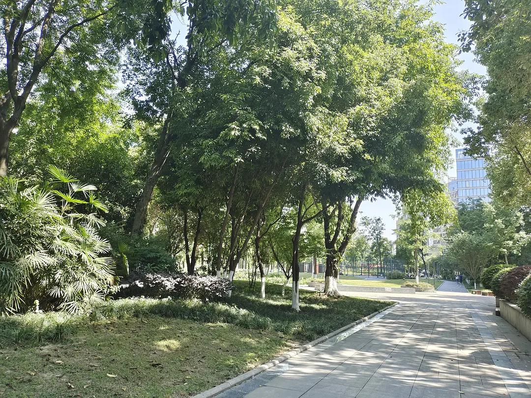 房屋图片 8