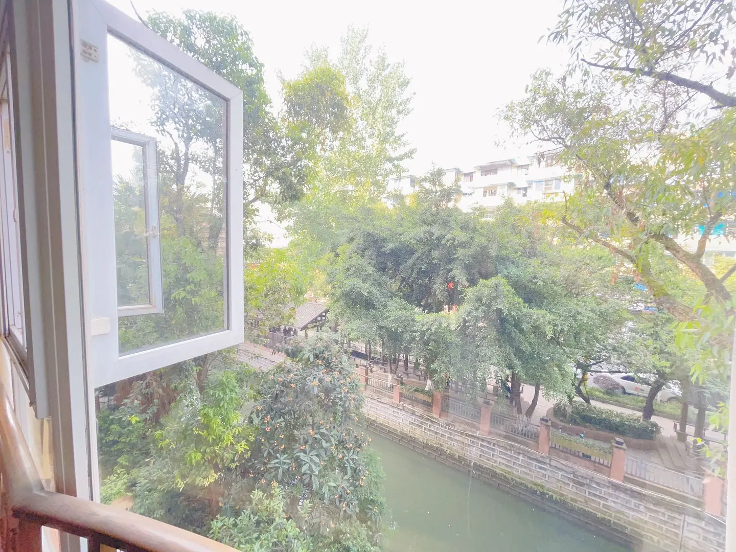 房屋图片 6