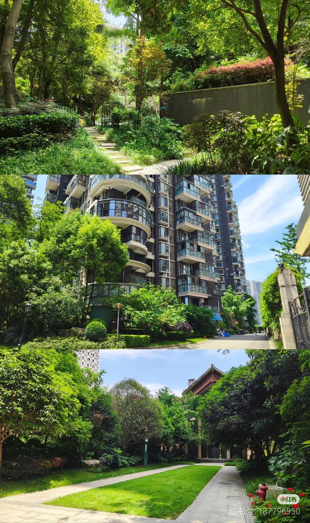 房屋图片 5