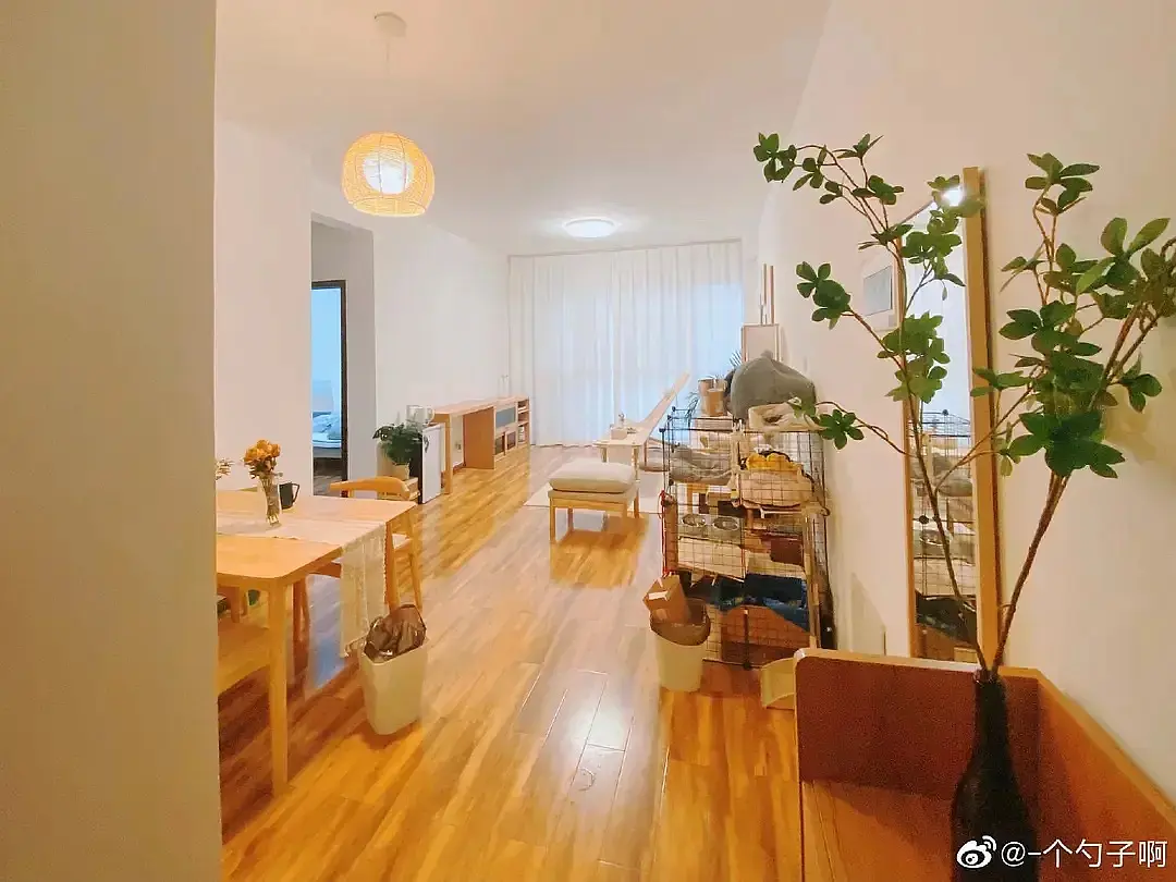 房屋图片 2