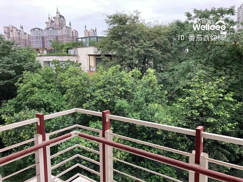 房屋图片 2