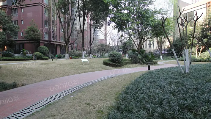 房屋图片 3