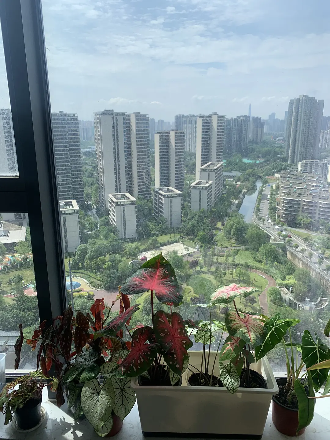 房屋图片 8