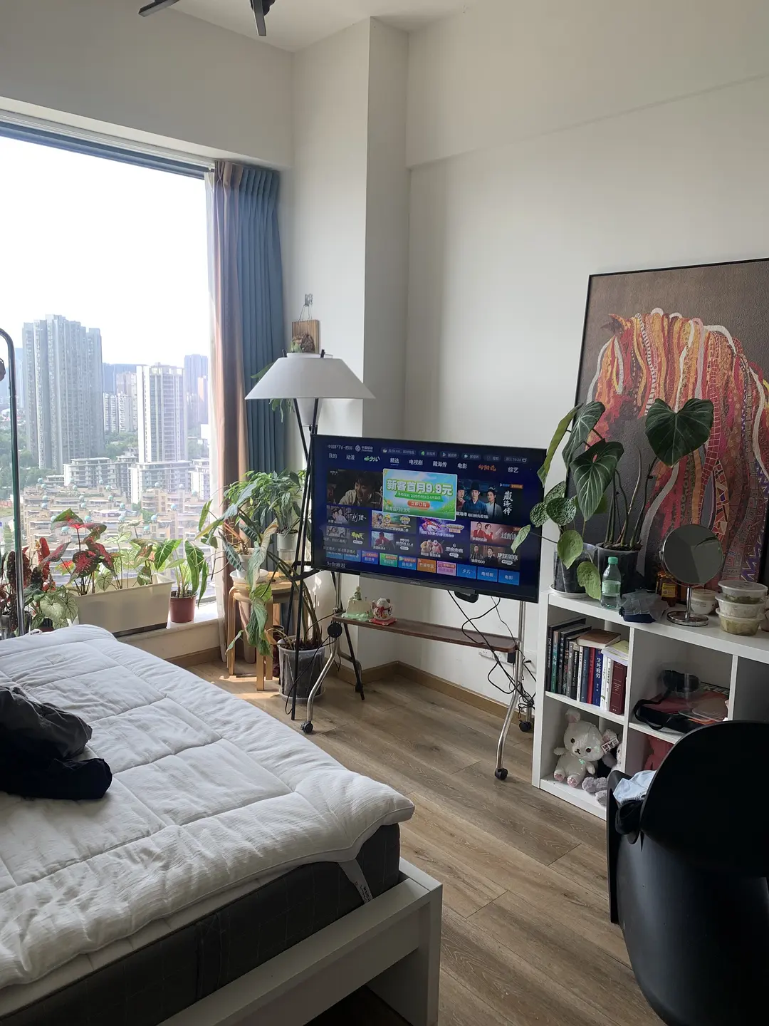 房屋图片 1