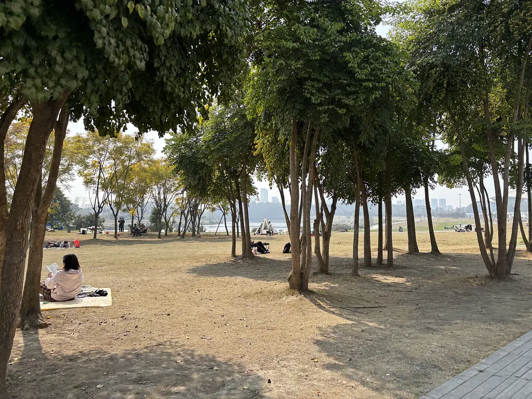 房屋图片 10