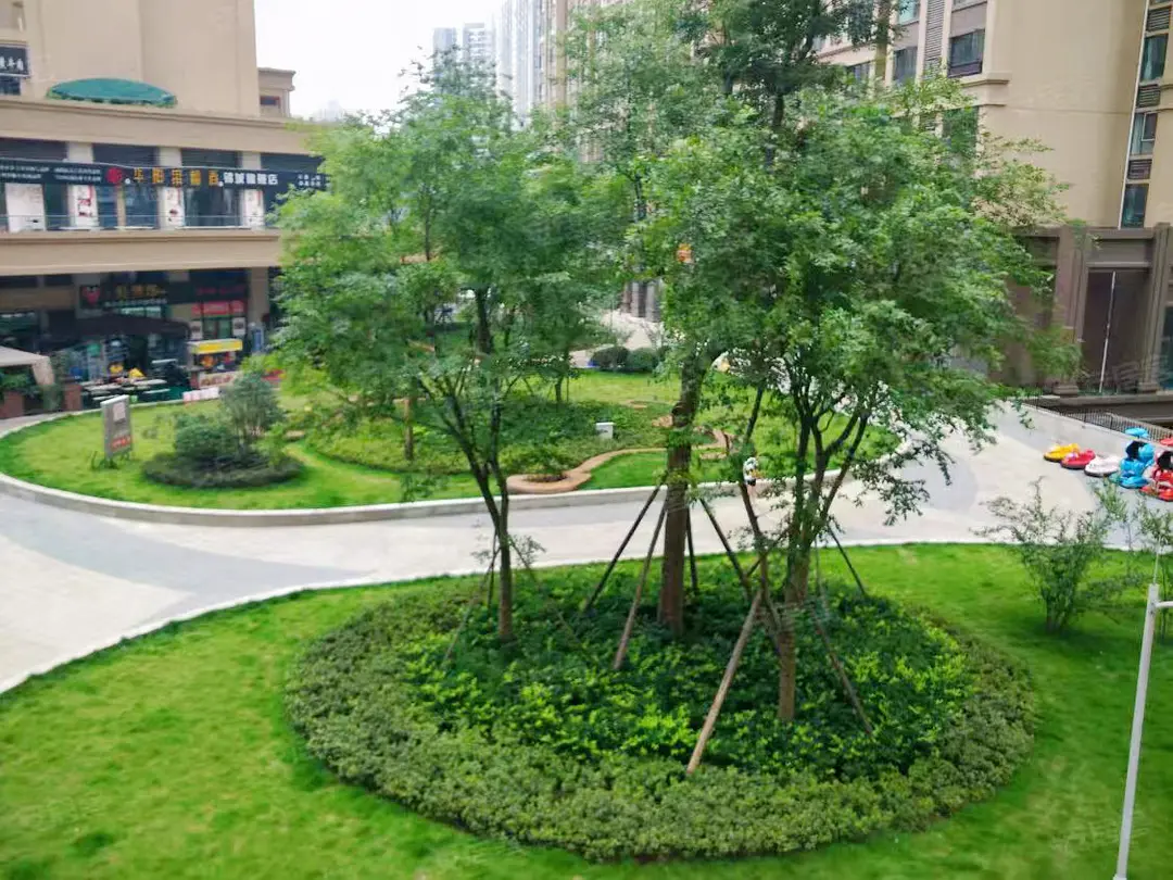 房屋图片 8