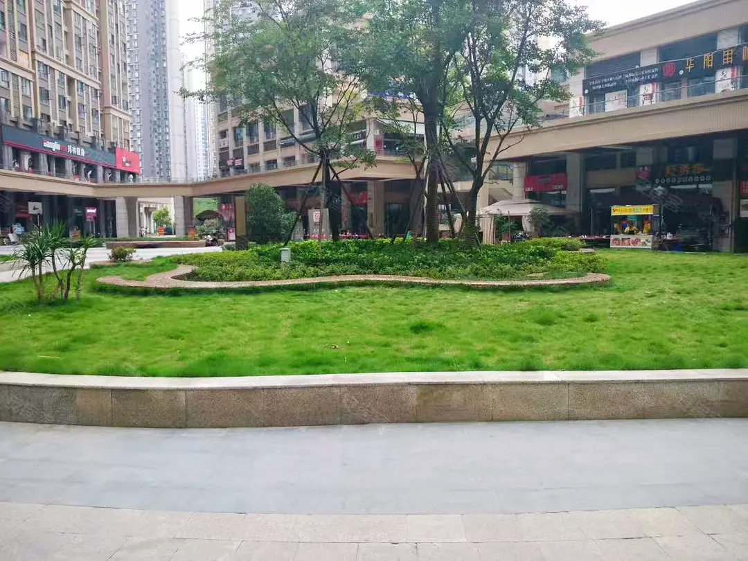 房屋图片 9